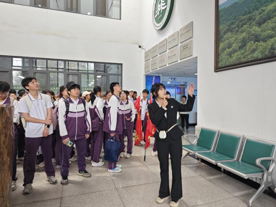 cce46671c1f41dacb5e756cf5ccb40d8